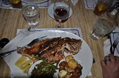 Hog Snapper at Poop Deck