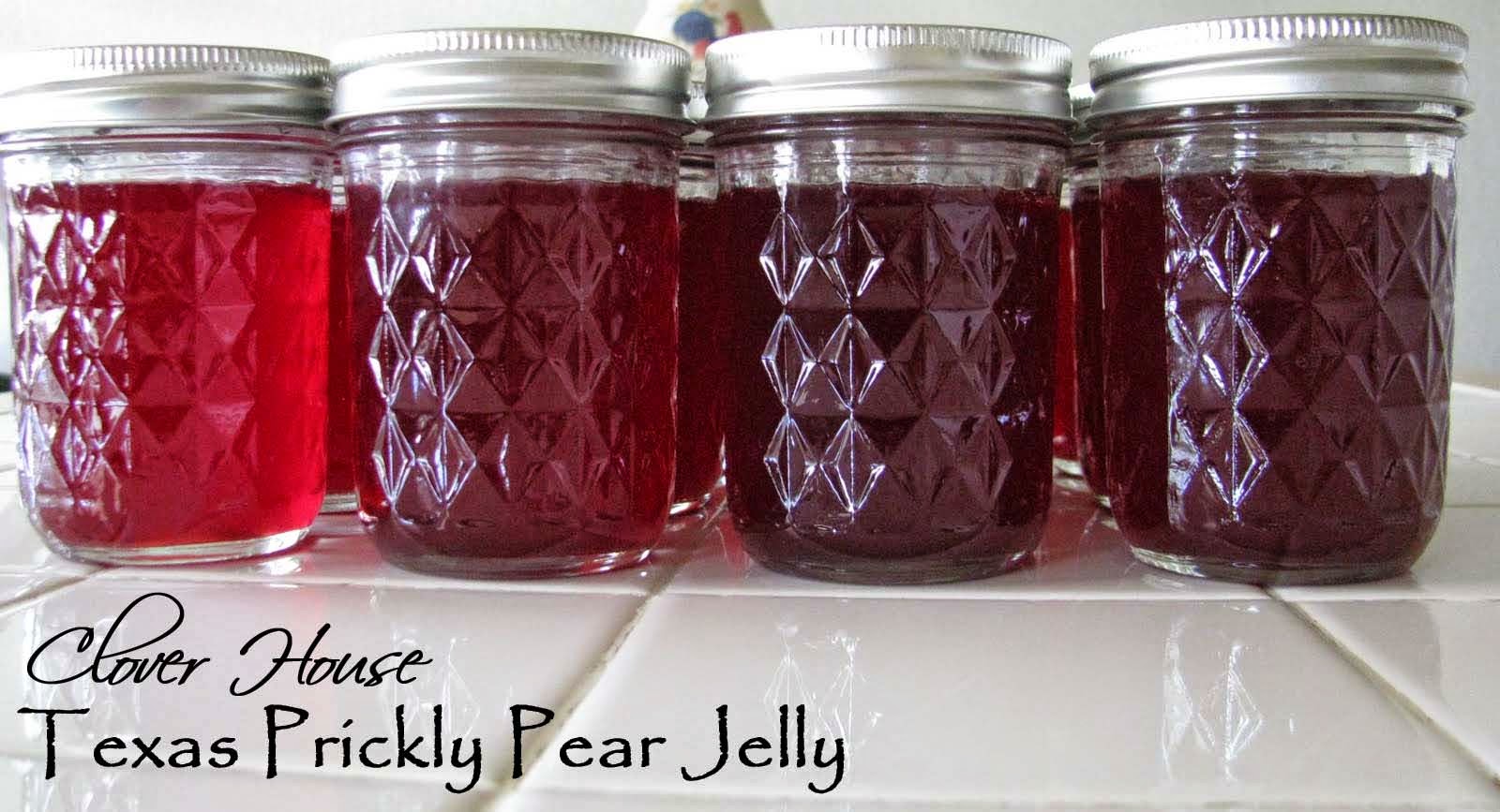 clover house texas prickly pear cactus jelly clover house texas prickly pear cactus jelly