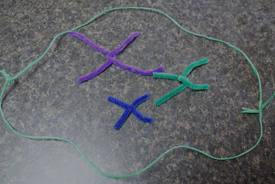 Pipecleaner Cell: Prophase: STEMmom.org