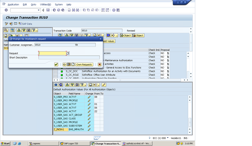 SAP Security Tutorial Maintaing Auth.Objects as check indicator(SU24)