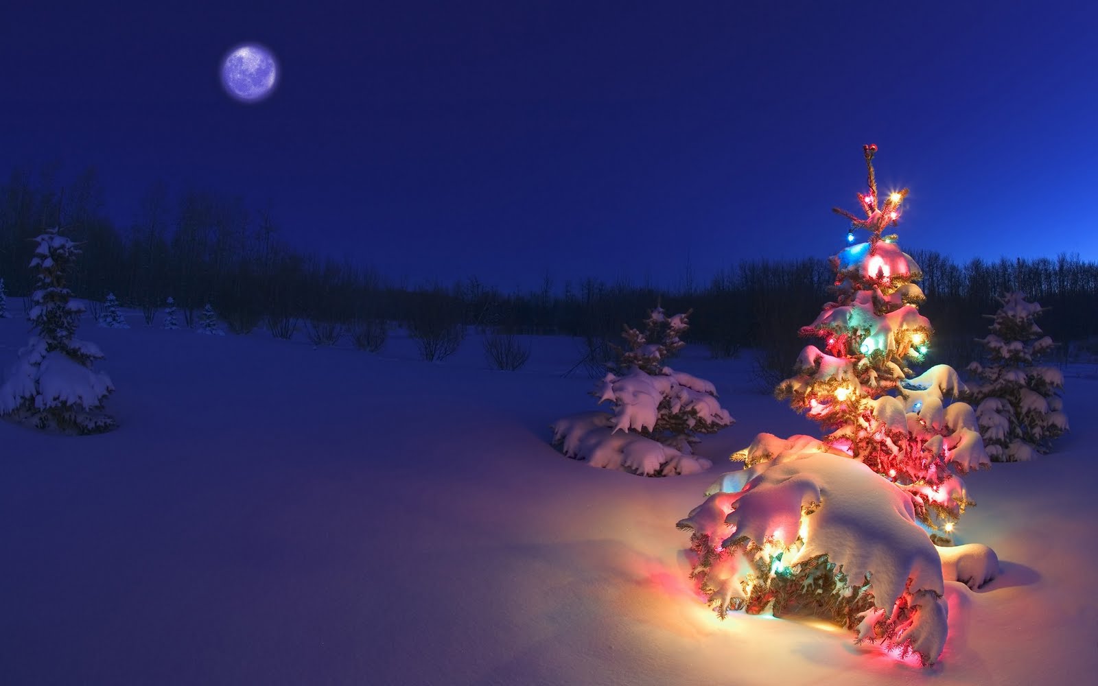 http://4.bp.blogspot.com/-9tsM-1uqO2E/TtV0aSkfYjI/AAAAAAAArtc/yTIefQKbOqc/s1600/arbol-de-navidad-christmas-tree-1920x1200-wallpaper.jpg