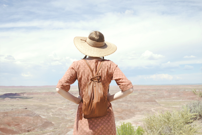 The Flying Clubhouse: Painted Desert The Flying Clubhouse: Painted Desert