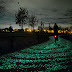 This bike path lights beautifully at night. Pretty it seems but there is a surprise hiding beneath the glowing stones!