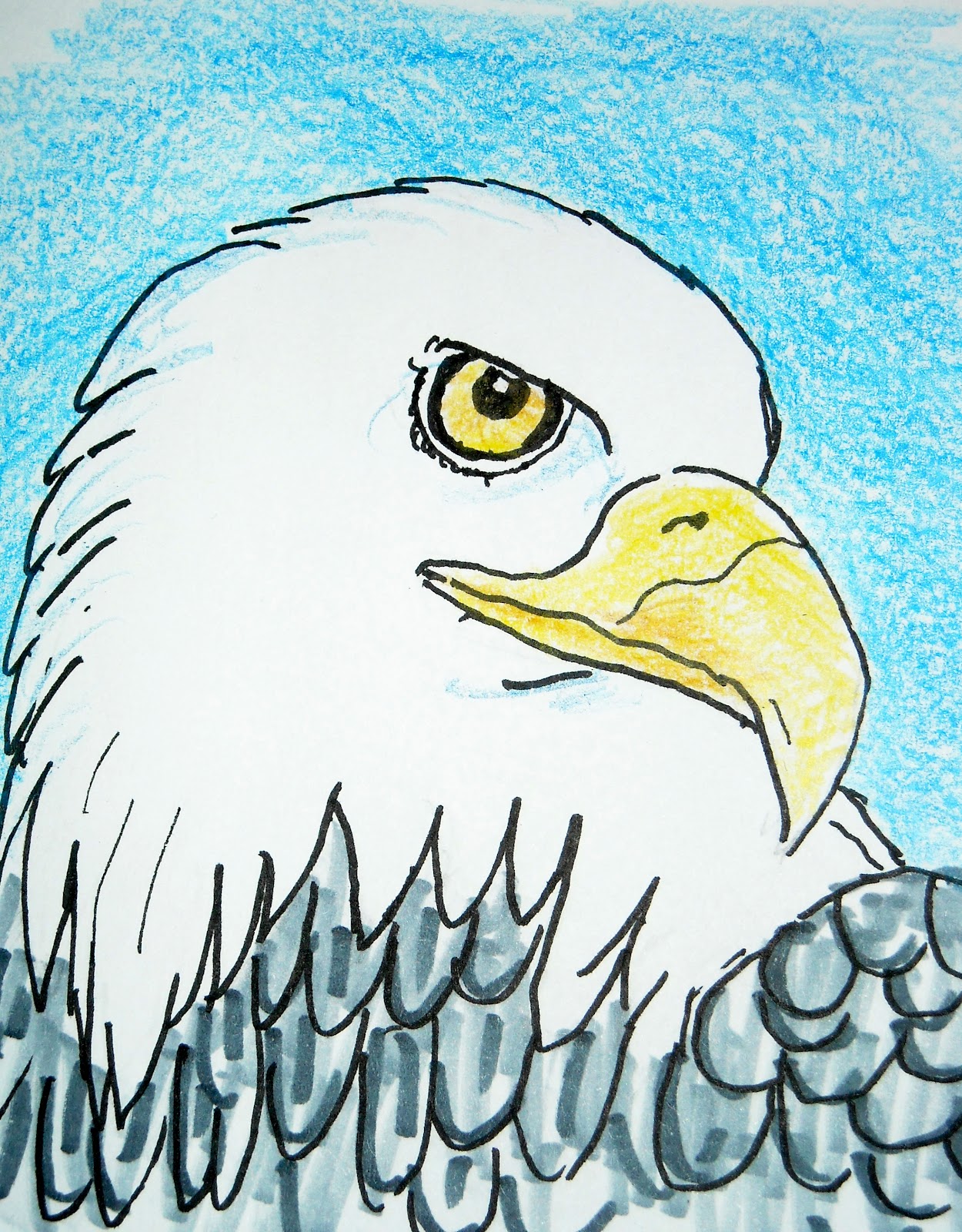 Eagle Face Drawing