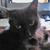 Jordan the Foundling