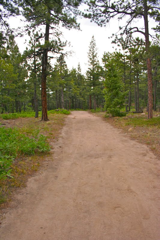 Colorado Lifestyle Spruce Mountain Loop