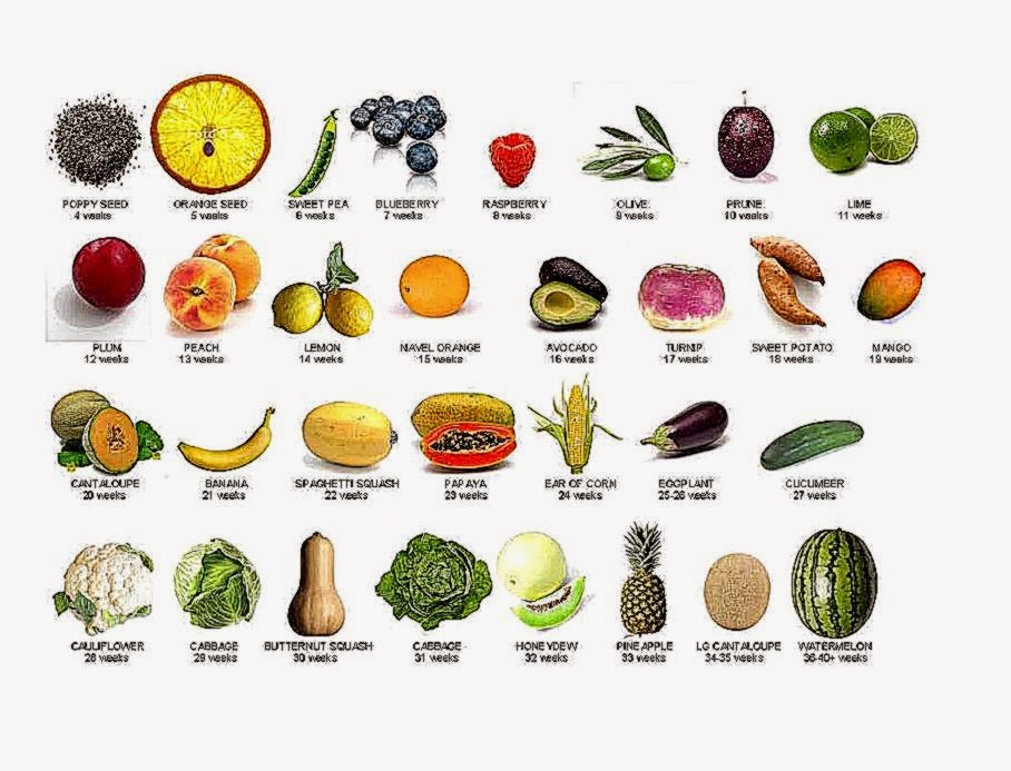 Vegetables Names Home Design Ideas jegygyuru Vegetables Names Home Design Ideas jegygyuru