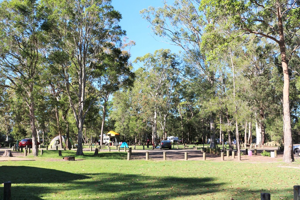 National Park Odyssey Coochin Creek Camping Area, Beerwah State Forest