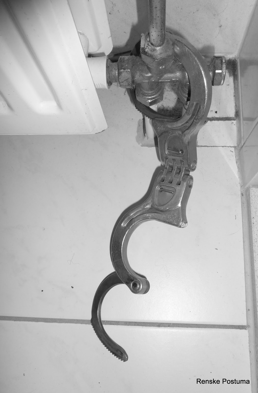 stichting hulpverlening opvang voor prostituees en mensenhandel