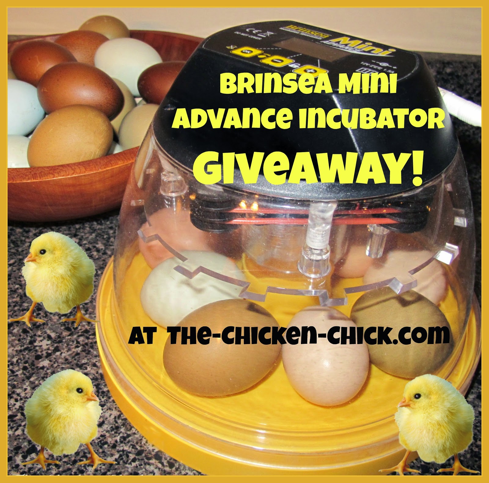 clever chicks blog hop clever chicks blog hop