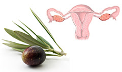 11olive_ovaries.jpg