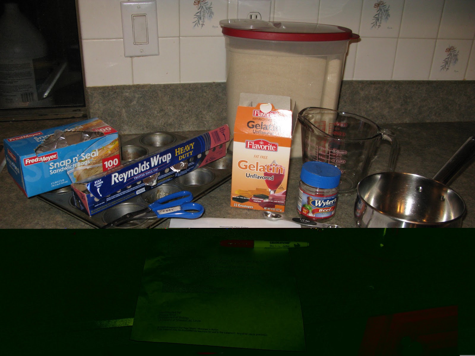 The Every Day Home School Homemade Petri Dishes Part 1