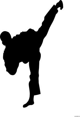 Menang mana vs karate taekwondo Menurut gw