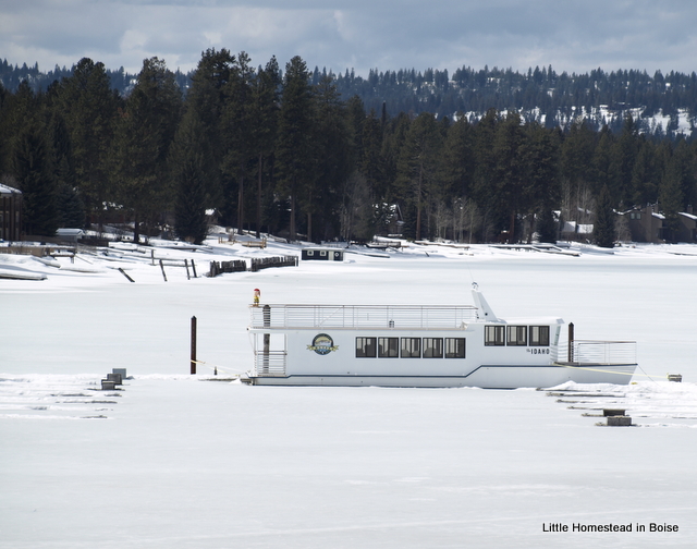 Little Homestead In Boise Lake Trip, Why I Love Craigslist