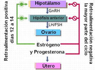 La antigüedad del fumar 3 años ha dejado