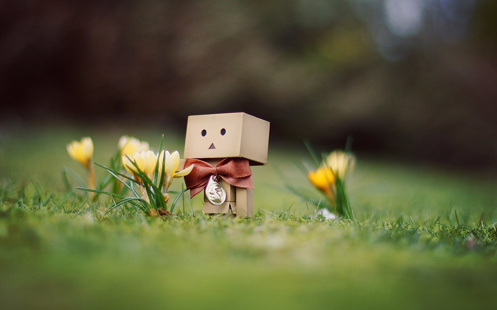 http://4.bp.blogspot.com/-9vkH_X9GAFg/Tkpqz6FxdjI/AAAAAAAAAgs/23B_3ktOpPU/s1600/Danbo_March_Wallpaper__by_gloeckchen.jpg