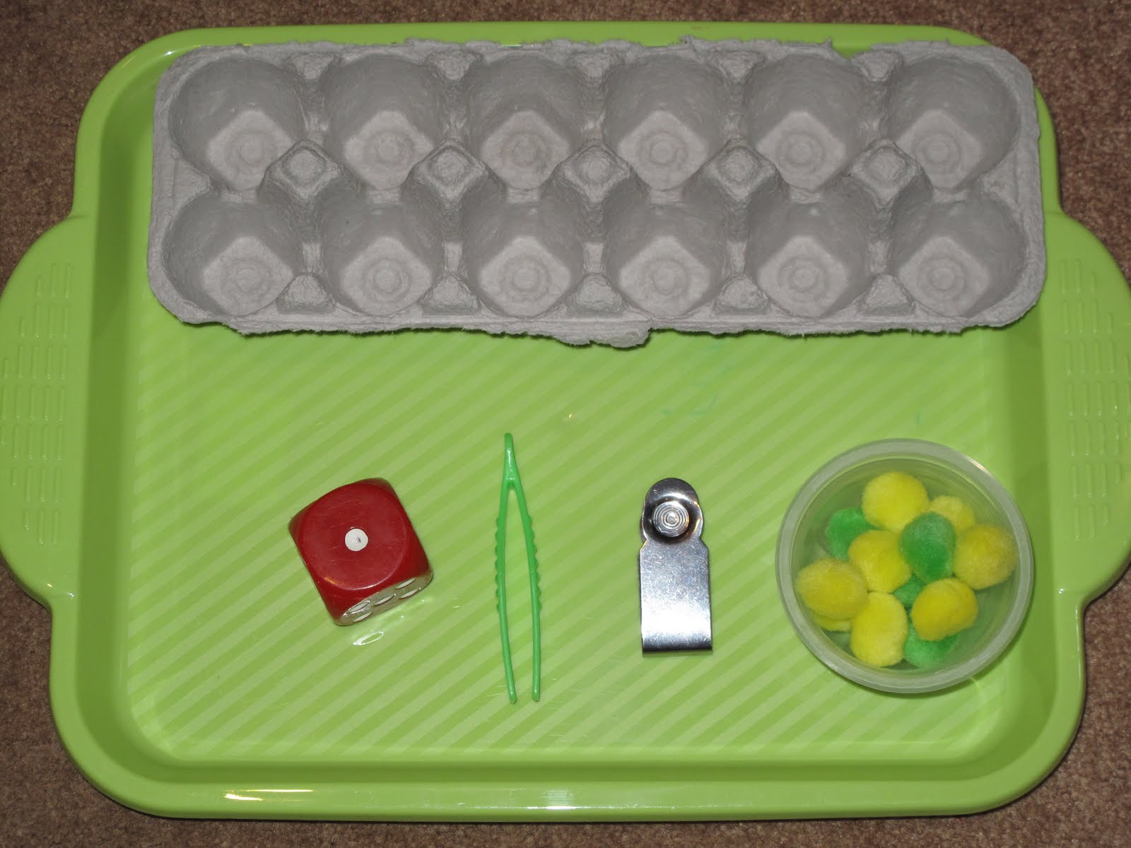 Primary Learning Logs: Egg Carton Math