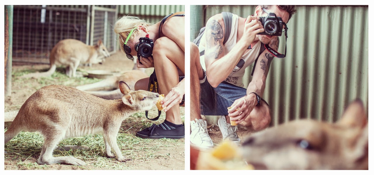 4. Featherdale Wildlife Park, Australia - These Globetrotters Document Their Travels In A Really Cool Way. 4. Featherdale Wildlife Park, Australia - These Globetrotters Document Their Travels In A Really Cool Way.
