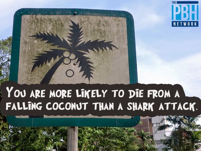 Shark vs coconut