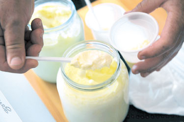 Membuat Yogurt Dengan Magic Com | bicara cara buat yogurt bulgaria Membuat Yogurt Dengan Magic Com | bicara cara buat yogurt bulgaria
