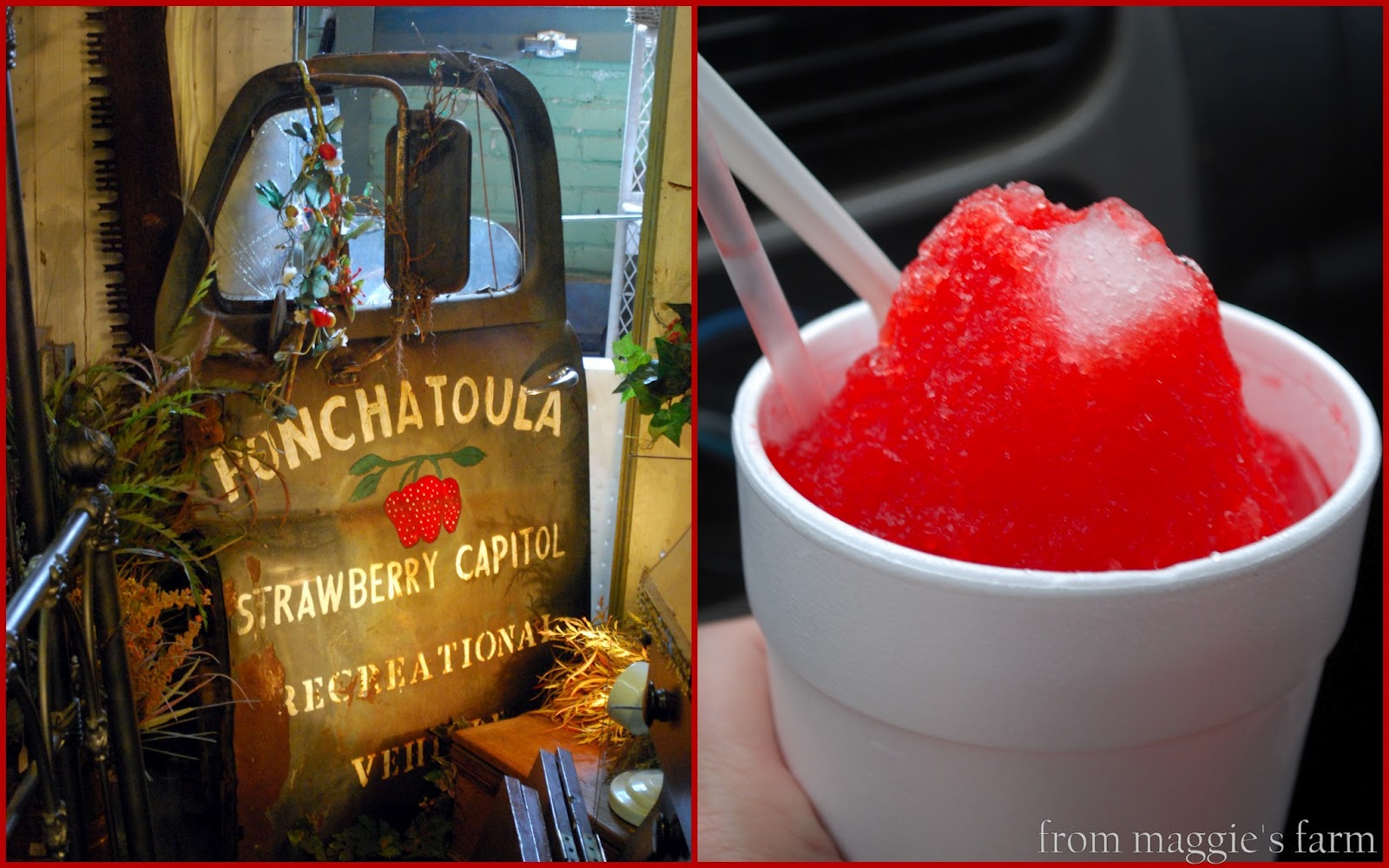 Notes from Maggie's Farm road trip ponchatoula, louisiana, and a