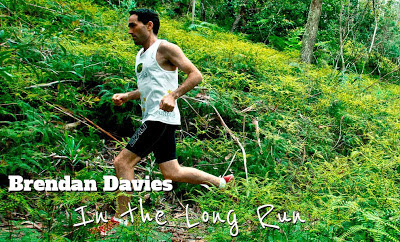 Brendan Davies: In The Long Run