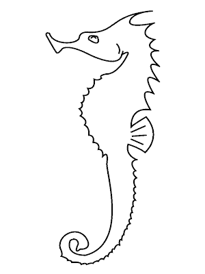 Coloring Seahorse Drawing