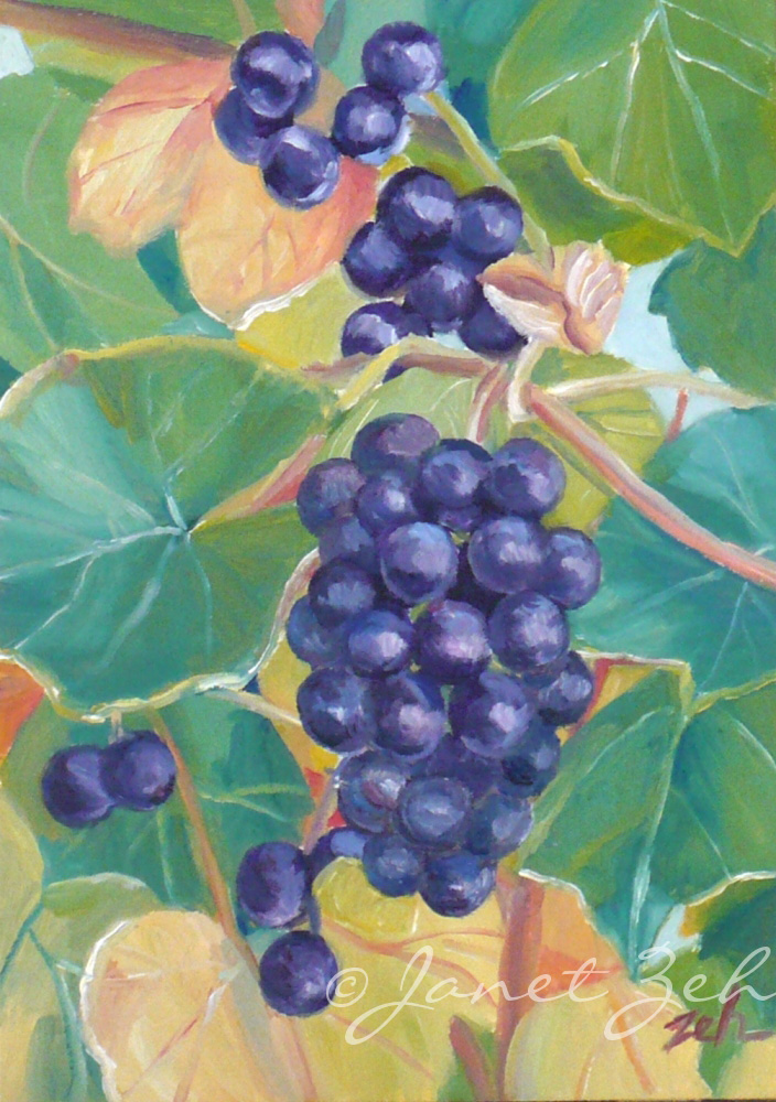 Zeh Original Art Watercolor and Oil Paintings Wild Concord