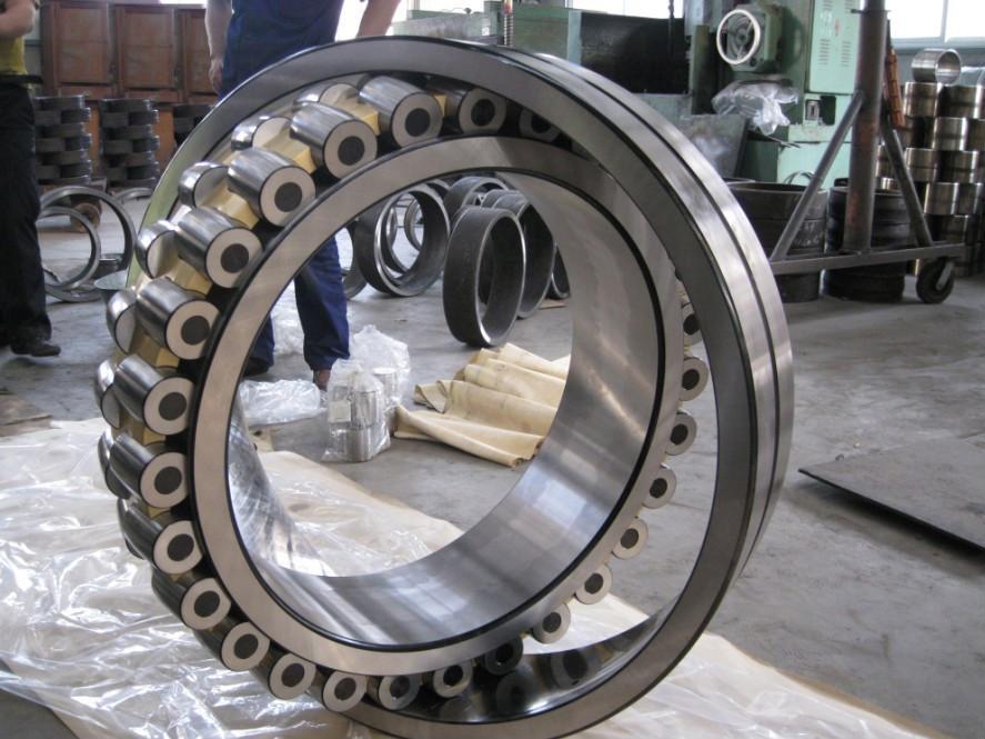 Massive Roller Bearing MechanicsTips