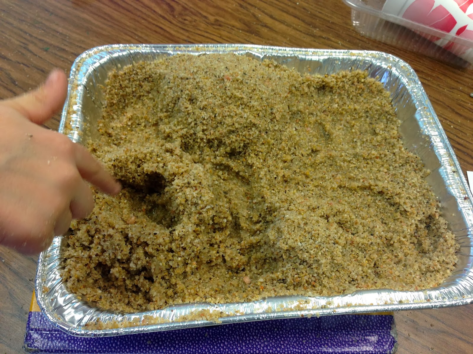 Are you teaching about rocks and minerals? Grab this FREE science lab on erosion that your students will LOVE!