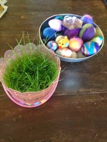 Choices for Children: Real Easter Basket Grass