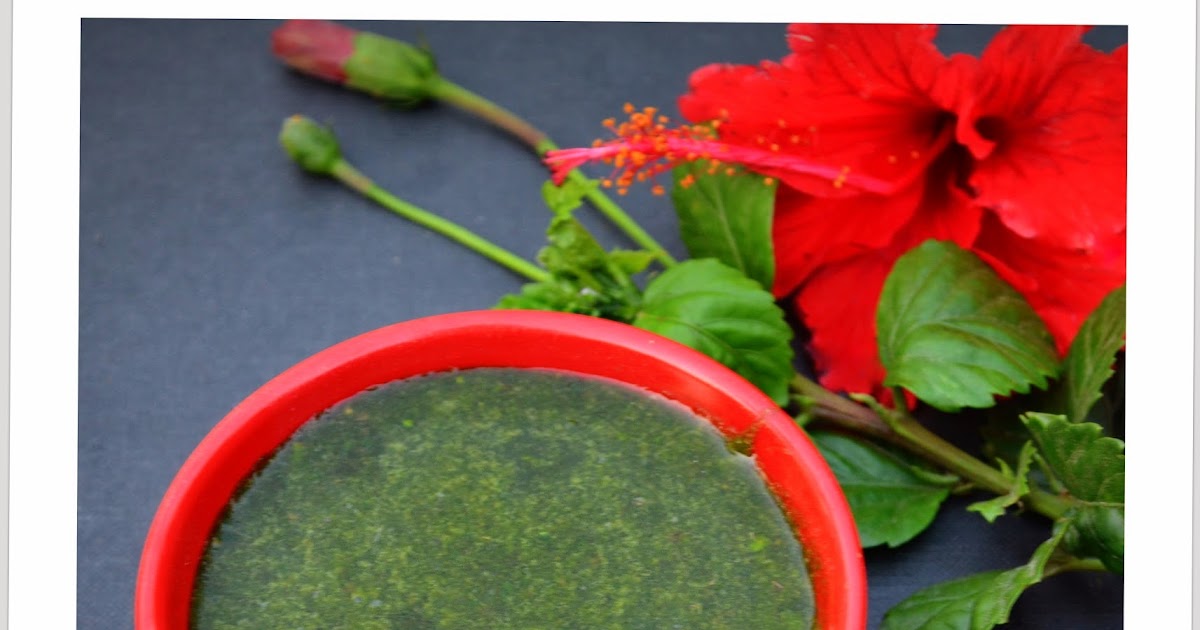 DIY Homemade Hibiscus Shampoo Recipe wildturmeric