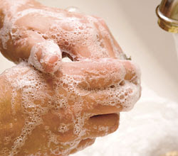 Download this Food Hygiene Training... picture Download this Food Hygiene Training... picture