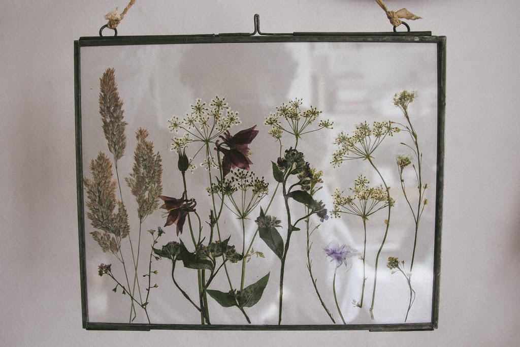 Framed Pressed Flowers, Wildflowers