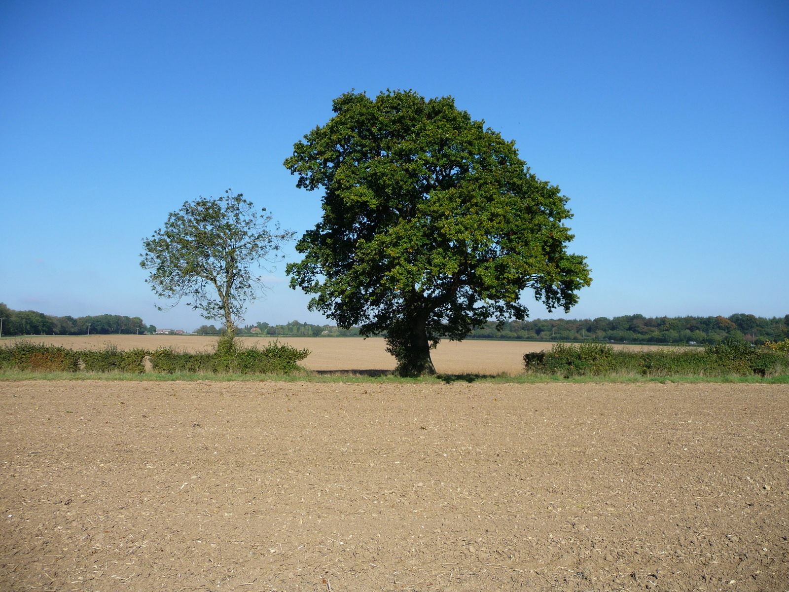 Glass Half Full Monday 11th October Hilly Chilterns Hike From