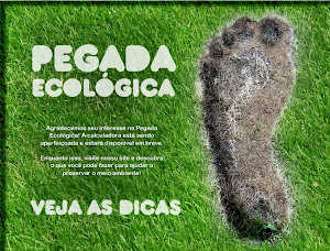 Calcule sua pegada Ecológica