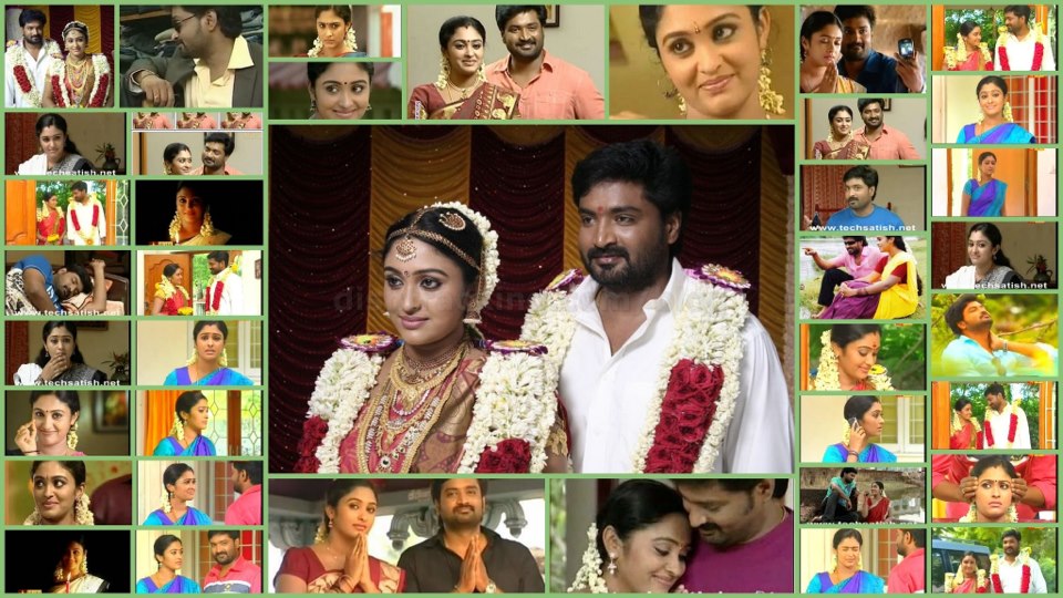 saravanan meenakshi serial free download saravanan meenakshi serial free download