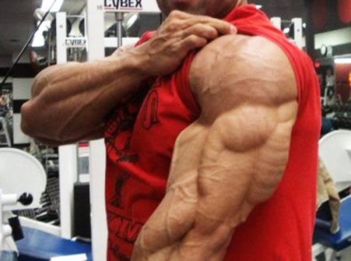 Huge triceps with excellent relief