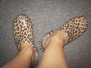 anywear leopard clogs