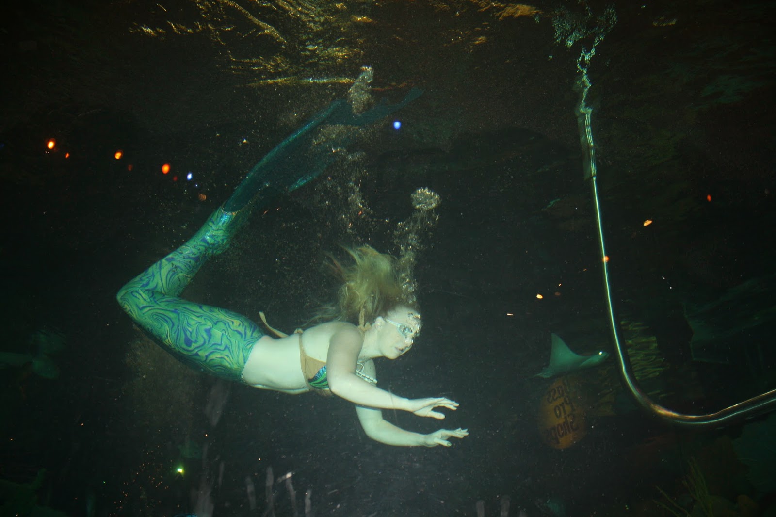 Free Kids Attraction in Vegas Mermaids' Swimming & Stingray Feedings