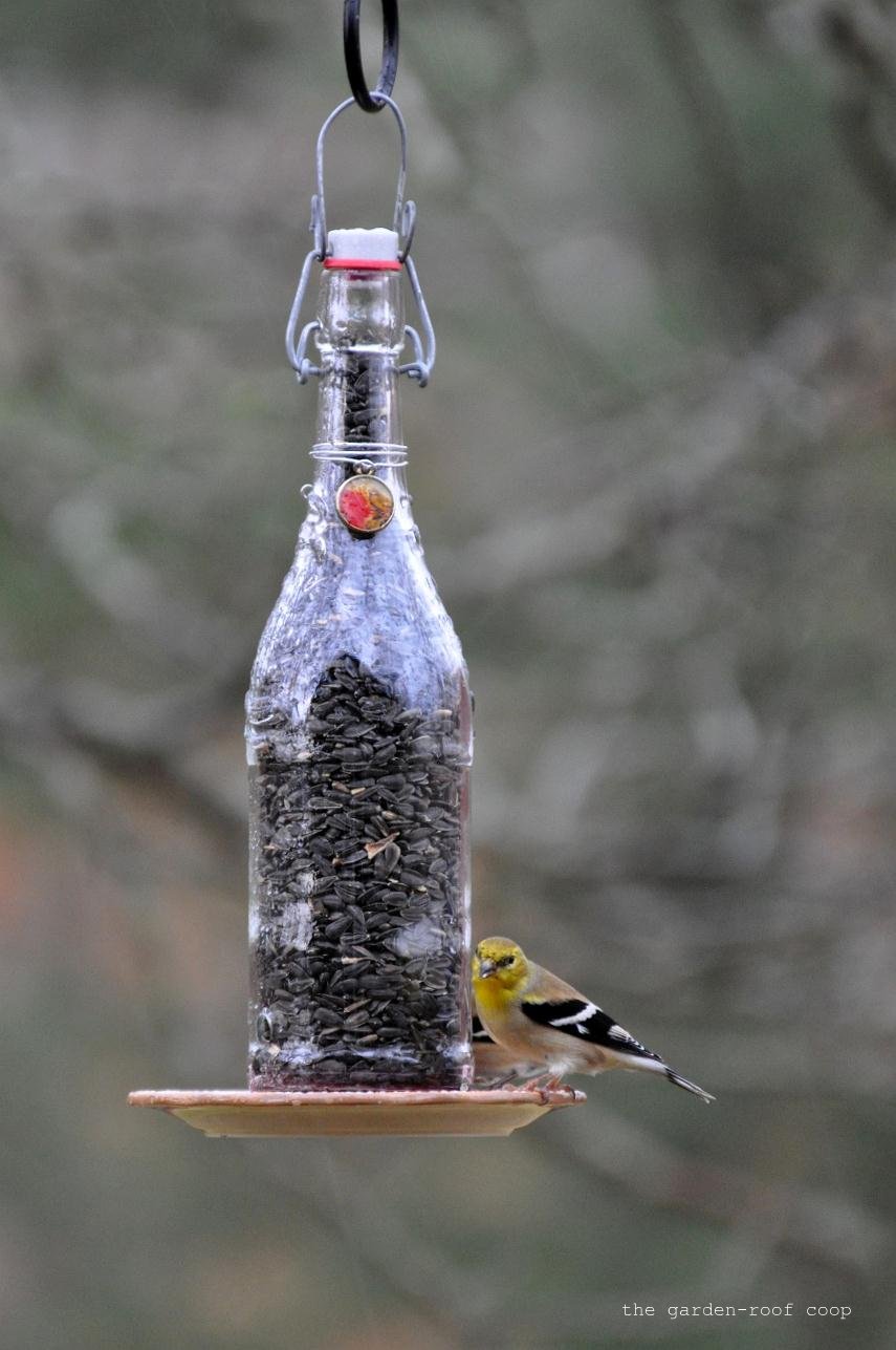 Rebecca's Bird Gardens Blog DIY Wine Bottle BirdFeeders