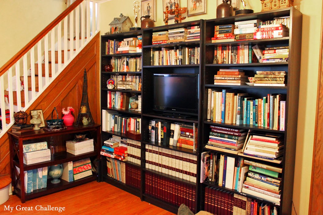 My Great Challenge Spring Cleaning Series Bookcase Cleaning and