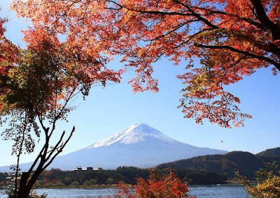 Cảnh Đẹp 4 Mùa ở Núi Phú Sĩ Phu+si+mua+thu1