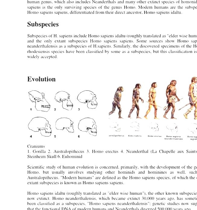 What is the complete classification of modern humans