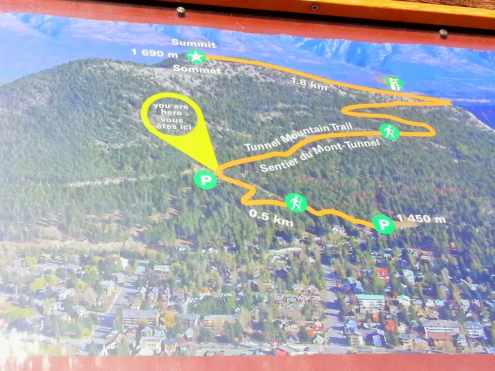 Tunnel Mountain, Banff Hike to The Top of a Mountain From Town! Play Outside Guide