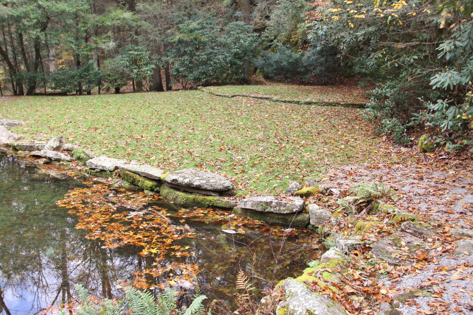 BlueEyed Kentucky Laurel Cove Amphitheater and Pine Mountain State
