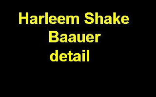 harleem shake baauer zippy