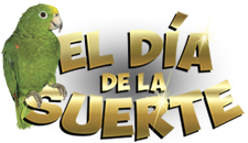 Ver El día de la suerte capítulo 6, martes 20 de agosto 2013 Ver El día de la suerte capítulo 6, martes 20 de agosto 2013