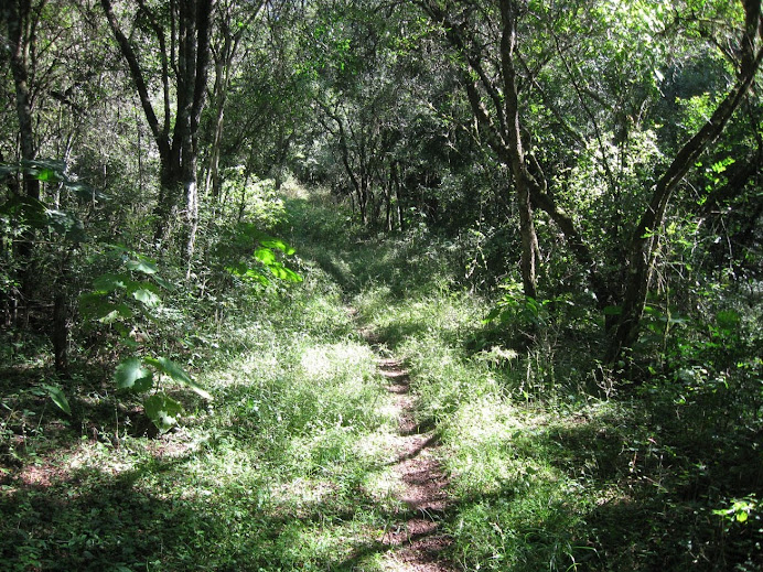 Sendero La Chuña