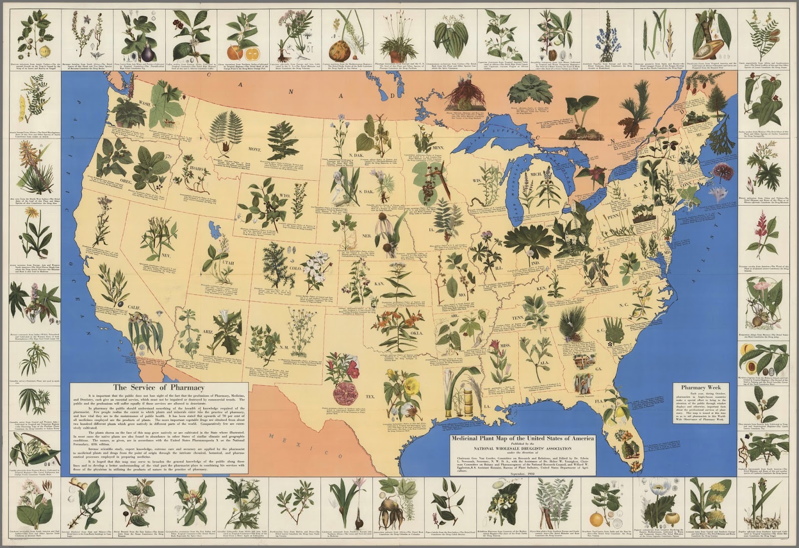 medicinal plant map of the united states of america edwin newcomb and the national wholesale druggists association 1932 medicinal plant map of the united states of america edwin newcomb and the national wholesale druggists association 1932